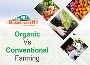Differences Between Organic and Conventional Farming Methods ...