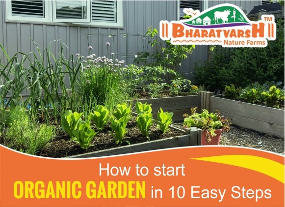 10 EASY STEPS TO START AN ORGANIC GARDEN AT HOME? - BharatVarsh Nature Farms
