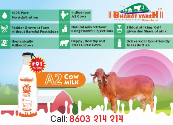 A2_Milk - Bharatvarsh Nature Farms