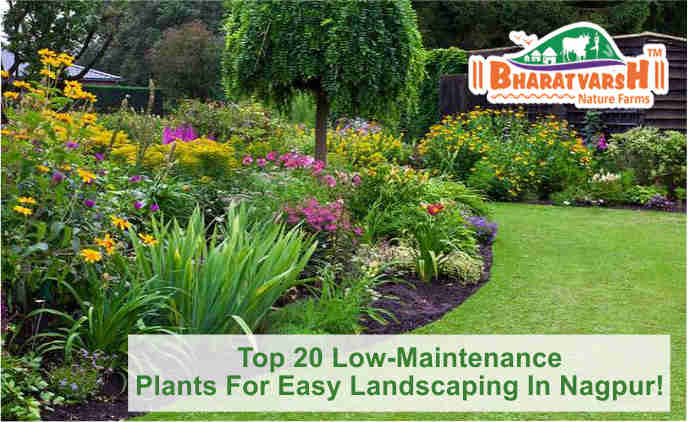 Landscaping Plants - Bharatvarsh Nature Farms