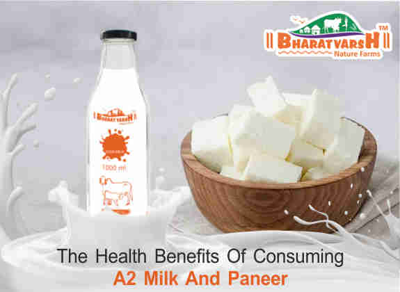 A2 paneer with milk - Bharatvarsh Nature Farms