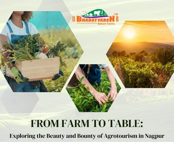 From Farm to Table Exploring the Beauty and Bounty of Agrotourism in Nagpur - Bharatvarsh Nature Farms