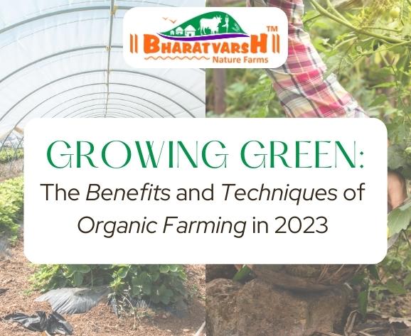 Growing Green The Benefits and Techniques of Organic Farming in 2023 - Bharatvarsh Nature Farms