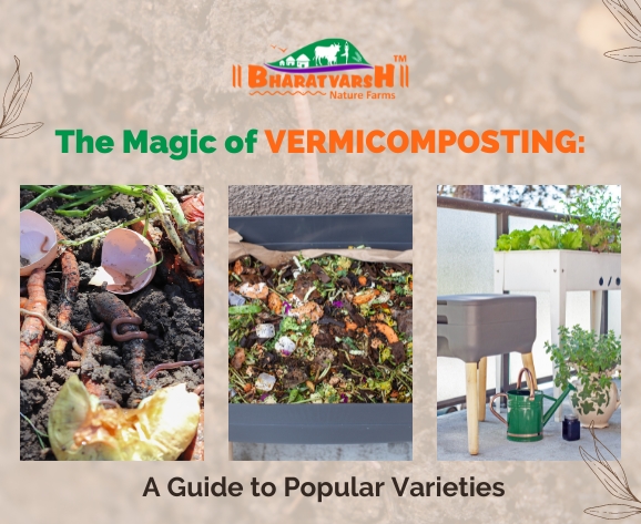 The Magic of Vermicomposting How Worms Can Transform Your Garden and Reduce Waste - Bharatvarsh Nature Farms