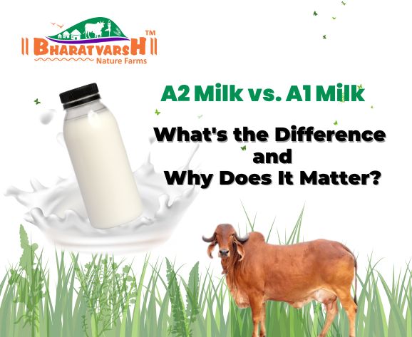 A2 Milk vs. A1 Milk: What's the Difference and Why Does It Matter? - Bharatvarsh Nature Farms
