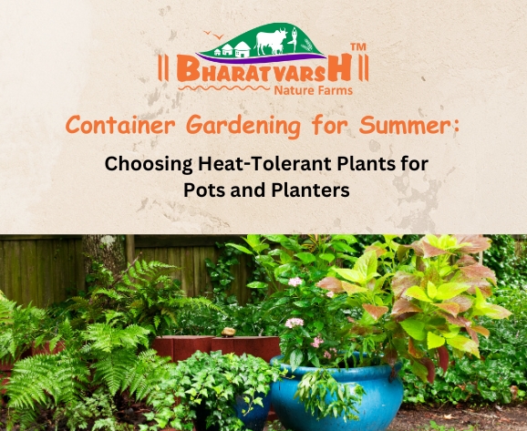 Container Gardening for Summer Choosing Heat-Tolerant Plants for Pots and Planters - Bharatvarsh Nature Farms