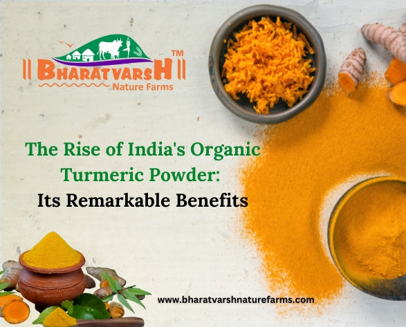 The Rise of India's Organic Turmeric Powder Its Remarkable Benefits - Bharatvarsh Nature Farms