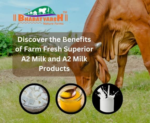 Discover the Benefits of Farm Fresh Superior A2 Milk and A2 Milk Products - Bharatvarsh Nature Farms