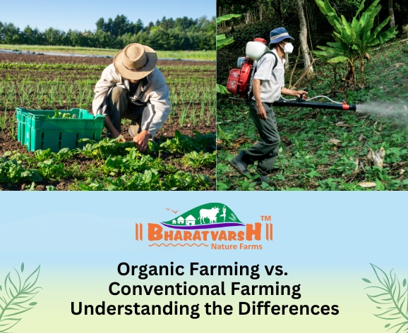 Organic Farming vs. Conventional Farming Understanding the Differences - Bharatvarsh Nature Farms