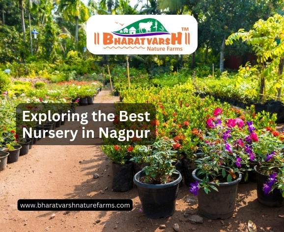 Exploring the Best Nursery in Nagpur - Bharatvarsh Nature Farms
