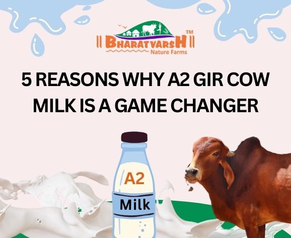 5 Reasons Why A2 Gir Cow Milk Is a Game Changer - Bharatvarsh Nature Farms