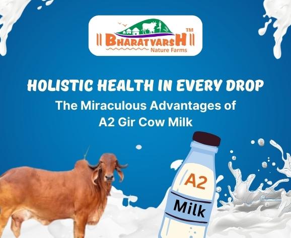 Holistic Health in Every Drop The Miraculous Advantages of A2 Gir Cow Milk - Bharatvarsh Nature Farms