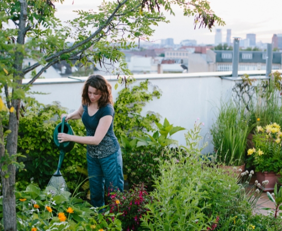 Rooftop Garden Benefits for Communities - BharatvarshNatureFarms