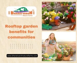 Rooftop garden benefits for communities - Bharatvarsh Nature Farms