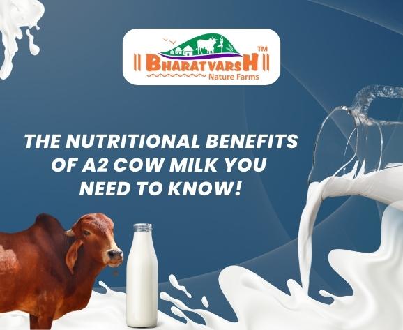 The Nutritional Benefits of A2 Cow Milk You Need to Know! - Bharatvarsh Nature Farms