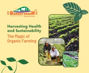 Harvesting Health and Sustainability - Bharatvarsh Nature Farms