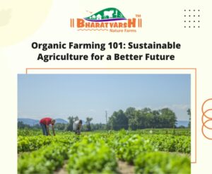 Organic Farming 101 Sustainable Agriculture for a Better Future - Bharatvarsh Nature Farms