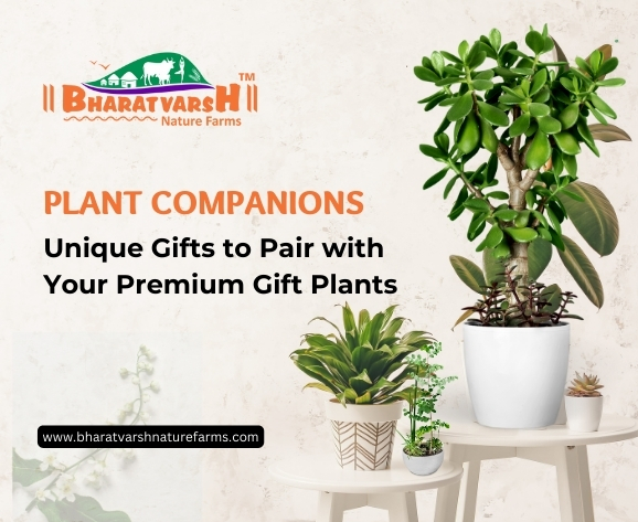 Plant Companions Unique Gifts to Pair with Your Premium Gift Plants - Bharatvarsh Nature Farms