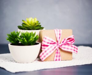 Top 10 Unique Plant Gifts