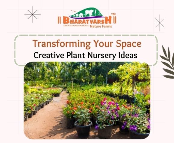 Transforming Your Space Creative Nursery Ideas - Bharatvarsh Nature Farms