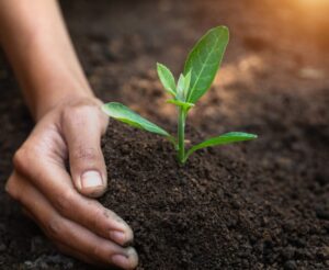 Soil Whisperers | Organic Farming