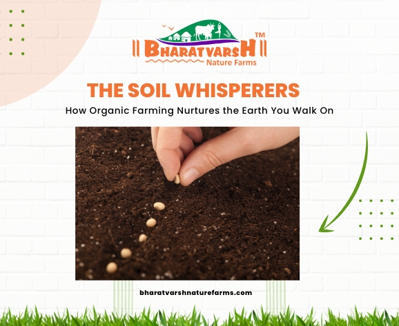 The Soil Whisperers How Organic Farming Nurtures the Earth You Walk On