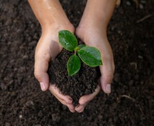 Soil Health in Organic Farming