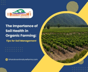 Soil Health | Organic Farming