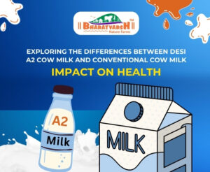 Exploring the Differences Between Desi A2 Cow Milk and Conventional Cow Milk Impact on Health - Bharatvarsh Nature Farms
