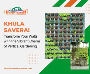 Khula Savera! Transform Your Walls with the Vibrant Charm of Vertical Gardening - Bharatvarsh Nature Farms