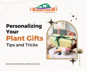 Personalizing Your Plant Gifts Tips and Tricks - Bharatvarsh Nature Farms