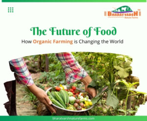 The Future of Food How Organic Farming is Changing the World - Bharatvarsh Nature Farms