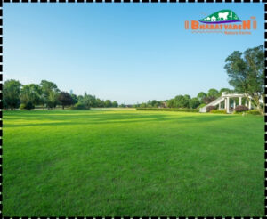 Best Open Lawn for a Party in Nagpur - Bharatvarsh Nature Farms