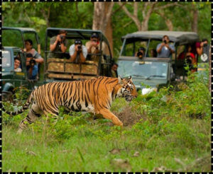 Kanha National Park - Bharatvarsh Nature Farms