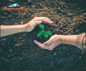Protection for Summer Plant Care - Bharatvarsh Nature Farms