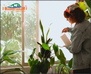 Summer Plant Care - Bharatvarsh Nature Farms