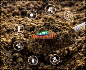 Benefits of Vermicompost - Bharatvarsh Nature Farms