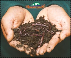 Best Organic Fertilizer - Bharatvarsh Nature Farms