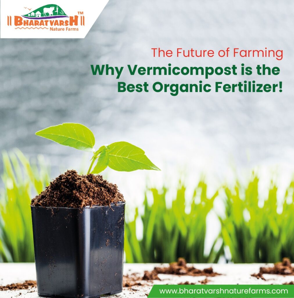 The Future of Farming Why Vermicompost is the Best Organic Fertilizer! - Bharatvarsh Nature Farms