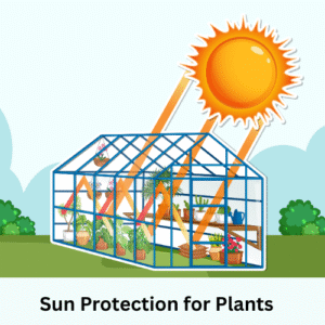 Gardening in the heat - Bharatvarsh Nature Farms