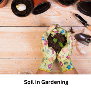Soil Gardening - Bharatvarsh