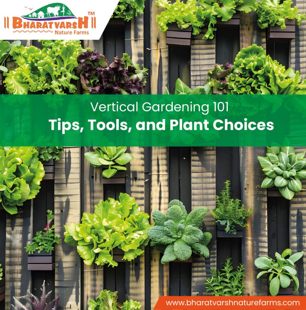 Vertical Gardening 101: Tips, Tools, and Plant Choices - Bharatvarsh Nature farms