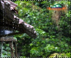 Eco-Tourism in Monsoon - Bharatvarsh Nature Farms