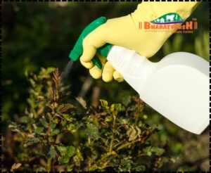 Pest and Disease Management in Organic Plant Growth - Bharatvarsh Nature Farms