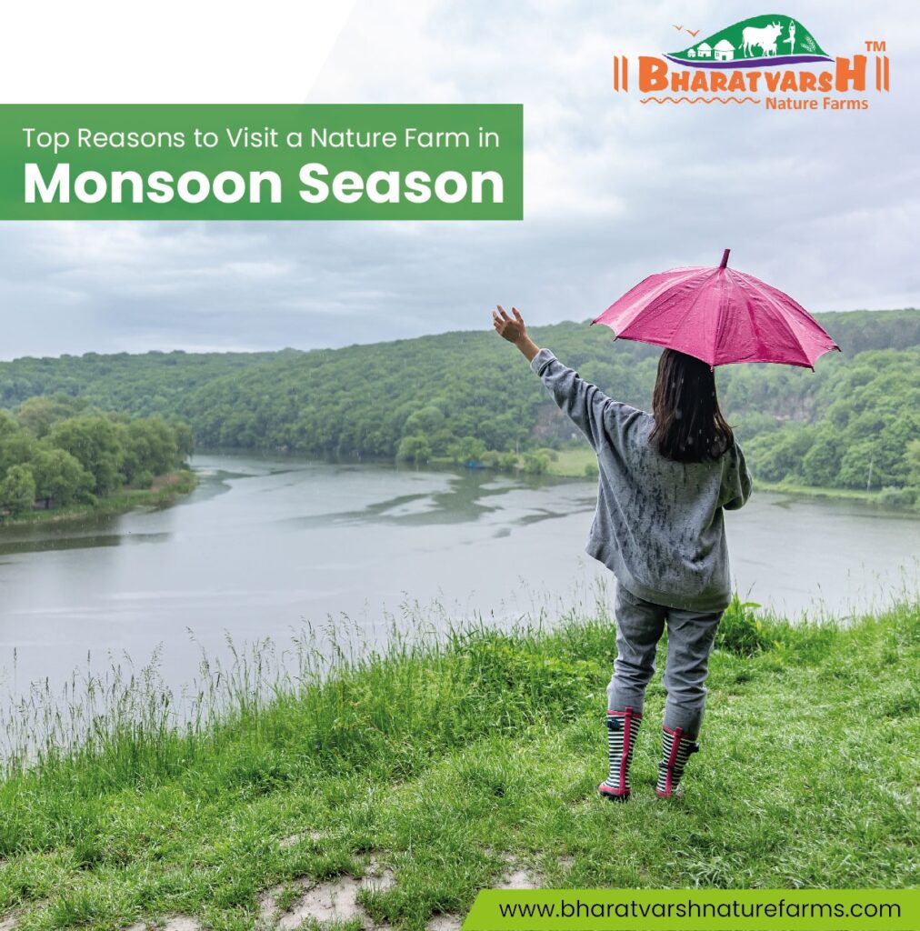 Top Reasons to Visit a Nature Farm in Monsoon Season - Bharatvarsh Nature Farms