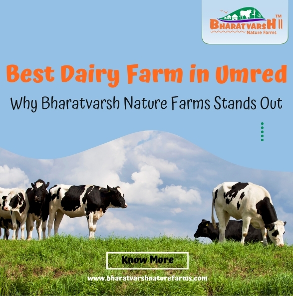Best Dairy Farm in Umred Why Bharatvarsh Nature Farms Stands Out - Bharatvarsh Natuere Farms