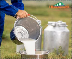 Fresh A2 Milk in Umred - Bharatvarsh Nature Farms