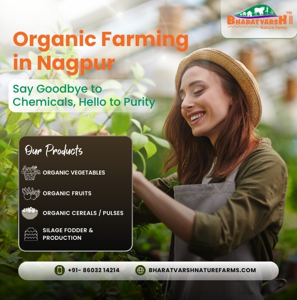 Organic Farming in Nagpur Say Goodbye to Chemicals, Hello to Purity - Bharatvarsh Nature Farms