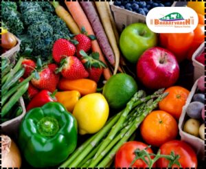 Organic Fruits and Vegetables in Nagpur - Bharatvarsh Nature Farms