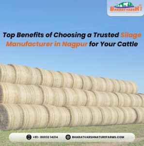Top Benefits of Choosing a Trusted Silage Manufacturer in Nagpur for Your Cattle - Bharatvarsh NatureFarms